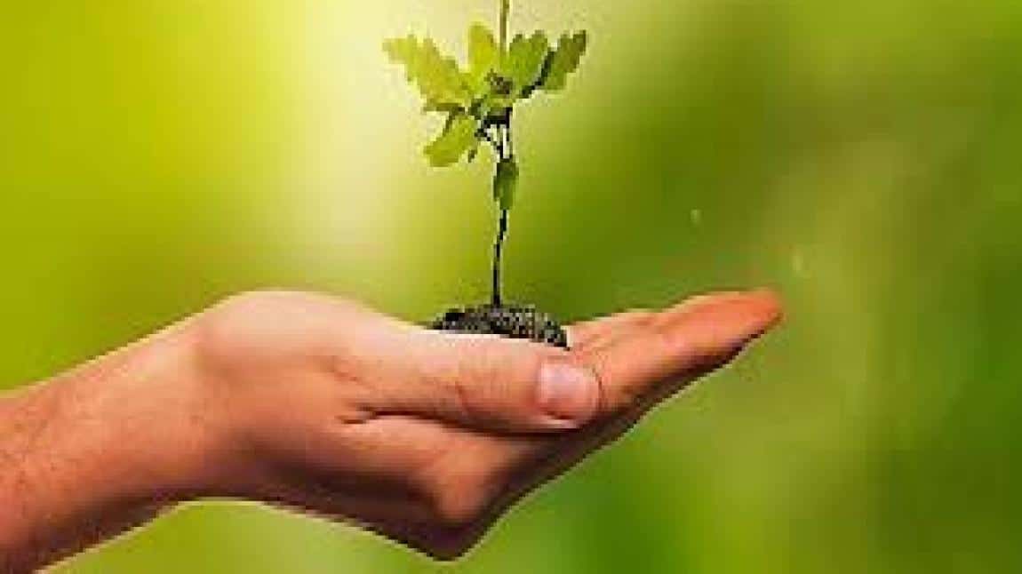 12-16 Mayıs Çevre Koruma Haftası